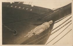 Front Bow of Ship "America" with Statue Postcard