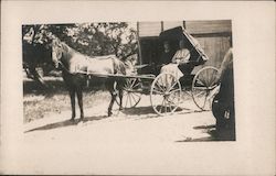 Horse drawn buggy with older couple Postcard