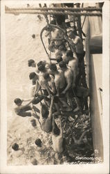 Group of sailors swimming Postcard