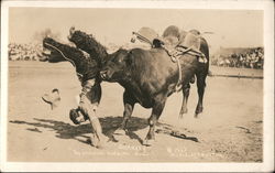 Stock #781220 Thumbnail