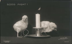 Good Night! Two chicks with a candle Postcard