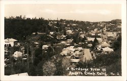 Birdseye View of Angels Camp, Calif. Postcard