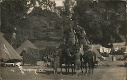 Men creating pyramid on back of horses Postcard