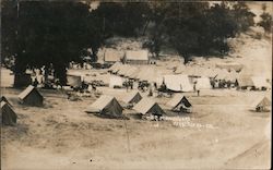 War Maneuvers - Camp Postcard