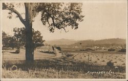 Open Farming Fields Postcard