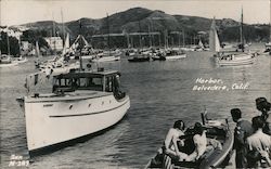 Harbor with various ships and boats Belvedere, CA Postcard Postcard Postcard