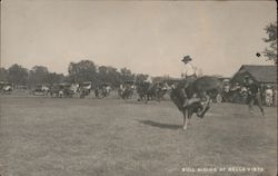 Bull Riding Postcard