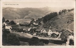 Town View Bolinas, CA Postcard Postcard Postcard