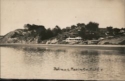 Bolinas Beach, Marin County Postcard