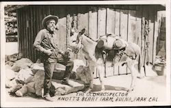 The Old Prospector Postcard