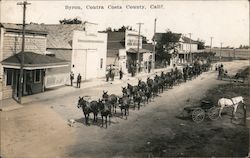 20-mule team on main street Postcard