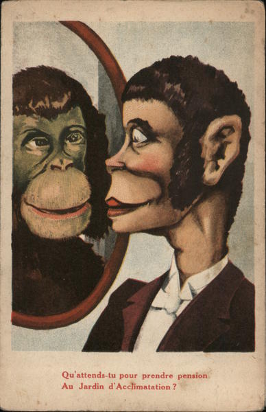 Qu'attends-tu pour prendre pension Au Jardin d'Acclimatation?