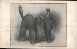 Celebrated Non-Slip Cat's Paw Rubber Heels - Foster Rubber Co. Postcard