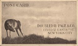 Doubleday Page & Co Postcard