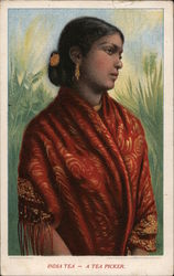 India Tea - The Grange Store Postcard