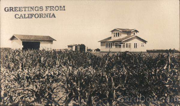 Farmhouse and Barn in a Field of Corn, Greetings From California