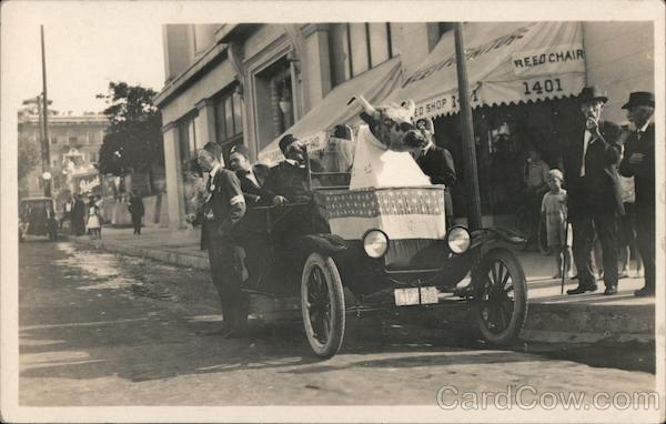 1922 Shriners around a car with a cow decoration California