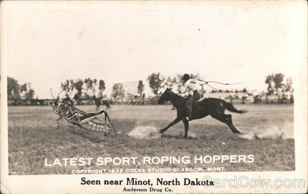 Latest Sport, Roping Hoppers; Seen near Minot, North Dakota, Anderson Drug Co.