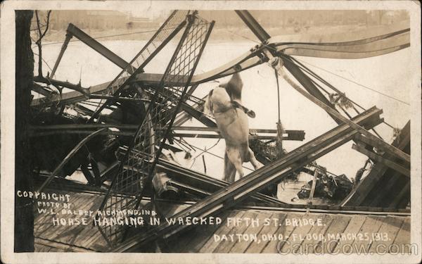 Horse Hanging in Wrecked Fifth Street Bridge, Dayton, Ohio Flood, March 25, 1913