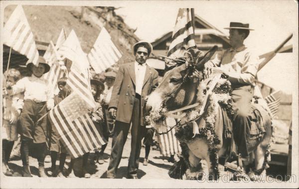 Man Riding Donkey with Flags in Background Donkeys
