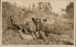 Moose Killed by J.L. Pop Original Photograph