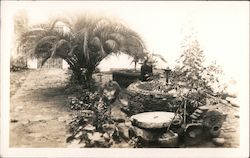 Father Peyri's Court, San Luis Rey Mission Postcard