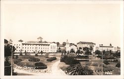 The Campus - University of Santa Clara Postcard