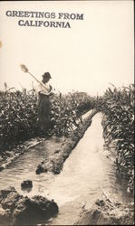Man Working in the FIelds, "Greetings From California" Postcard