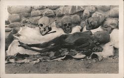 Excavated Skulls and Body Postcard