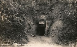 Entrance to Mark Twain Cave Postcard