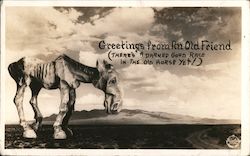 Greetings from an old friend (there's a darned good race in the old horse yet!) Postcard