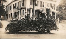 Parade Car Completely Covered in Flowers Postcard