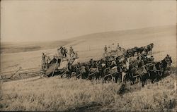 Tractors pulled by teams of horses work in a field Postcard