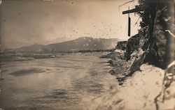 Pigeons from pigeon farm destroyed by flood Postcard