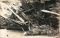 Arroyo Seco flood 1912 Highland Park, CA Postcard Postcard Postcard