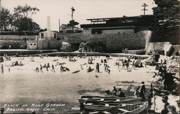 Beach at Roof Garden Pacific Grove California