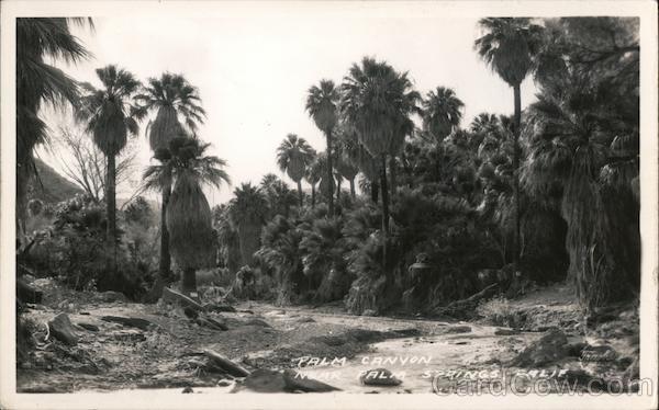 Palm Canyon Palm Springs California