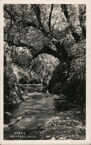 Creek and trees La Honda California