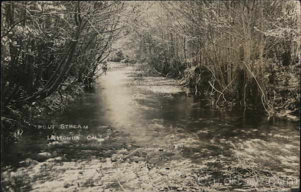 Trout Stream La Honda California