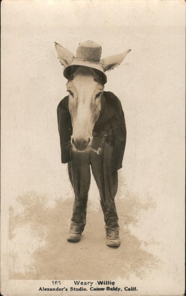 Weary Willie Camp Baldy California