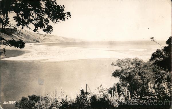 The Lagoon Bolinas California