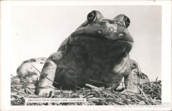 Greetings from Angels Camp, California