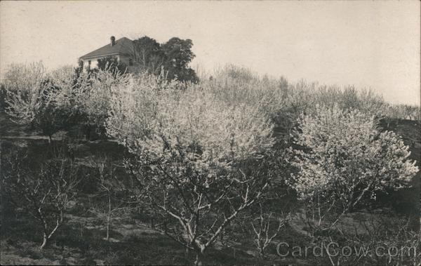 Home in Gold Hill, Placer County California