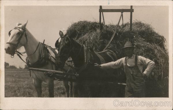 Seeing is Believing - Hay Wagon with Horses California