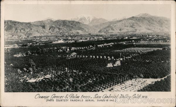 Orange Groves & Palm Trees, San Gabriel Valley California