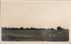 Stanford Ranch Original Photograph