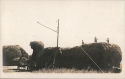 Stanford Ranch Original Photograph