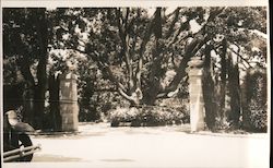 1931 Driveway Gates, Probably Burlingame California Original Photograph Original Photograph Original Photograph