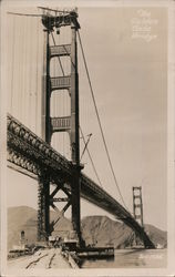 Stock #787656 Thumbnail