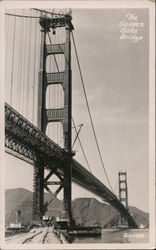 Stock #787686 Thumbnail